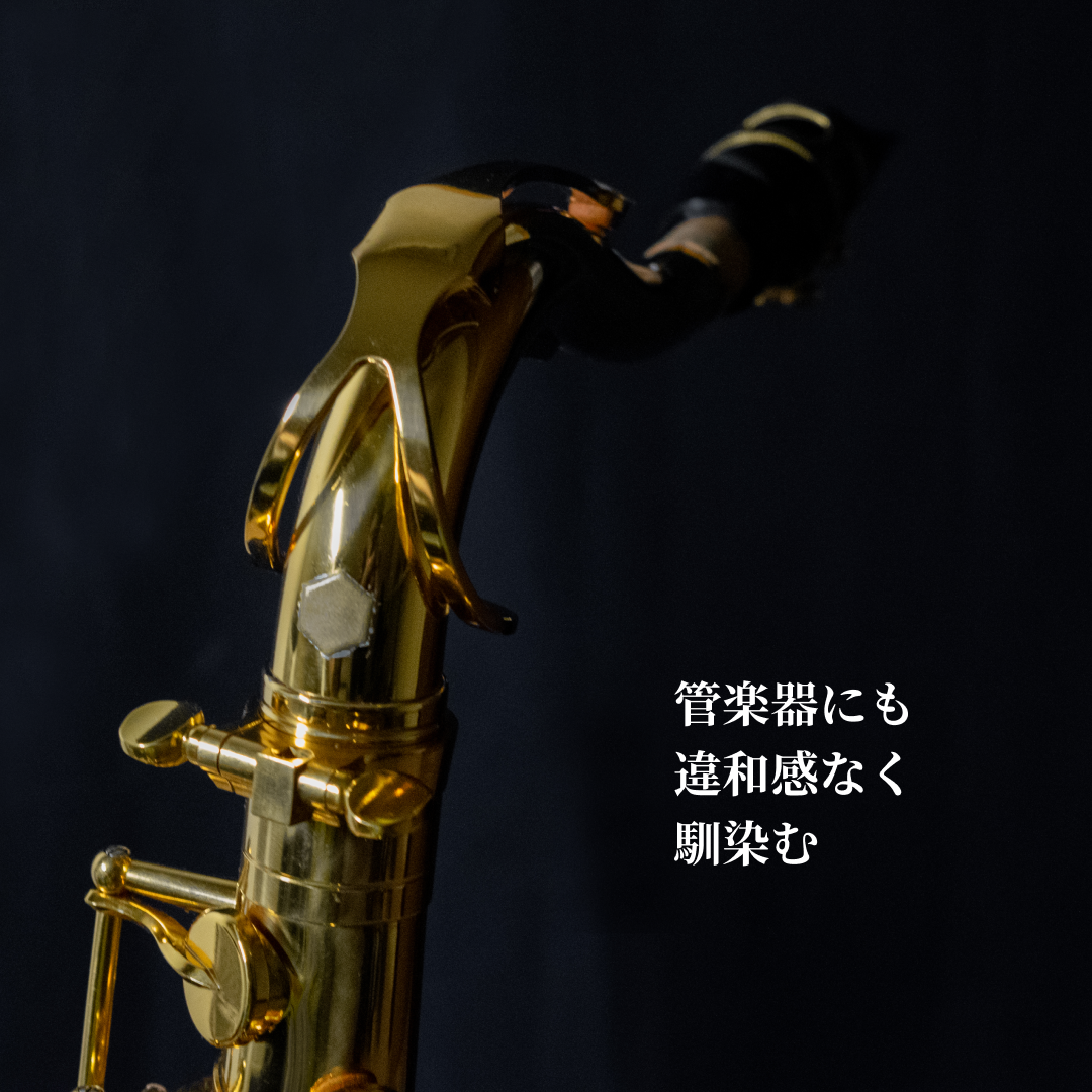 アドパワーソニックヘキサゴン SSサイズ (AdPower Sonic Hexagon SS）